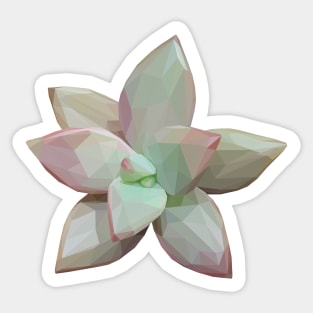 Pink Green Succulent Sticker